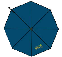 2016 Nuclear Medicine Week Umbrella